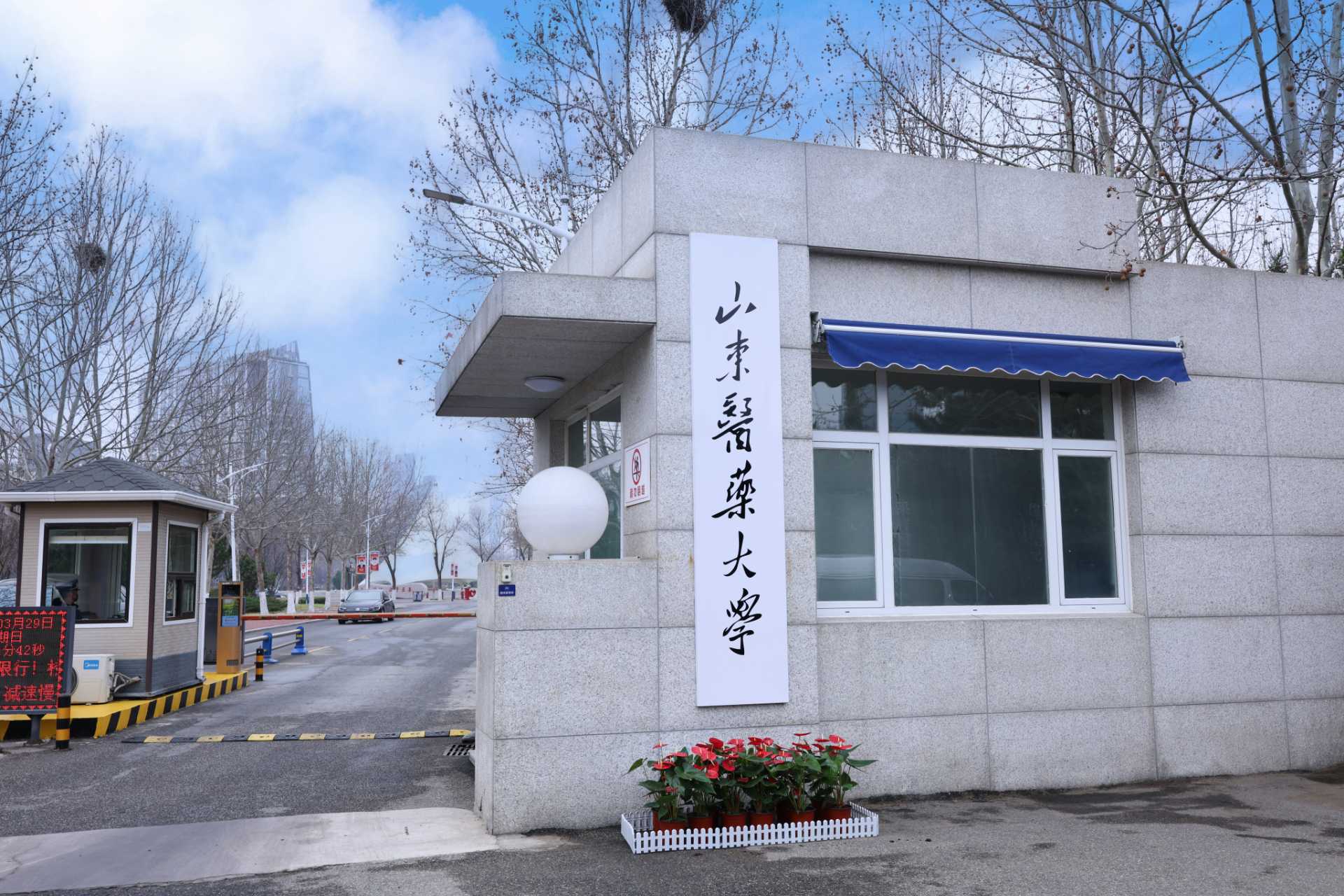 学生活动
